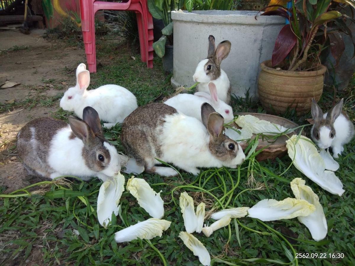 Baan Suan Jantra Home Stay Chiang Rai Luaran gambar