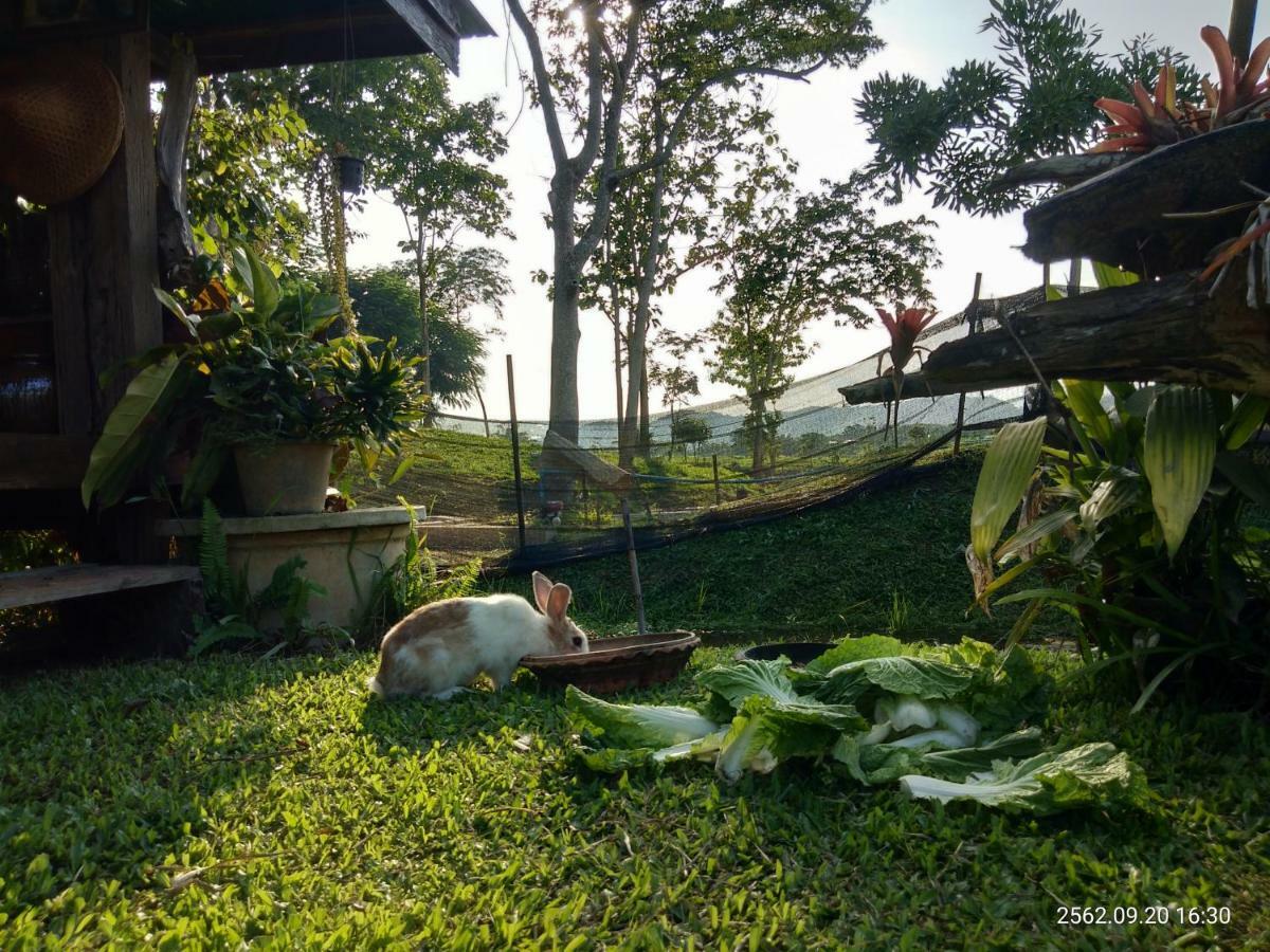 Baan Suan Jantra Home Stay Chiang Rai Luaran gambar